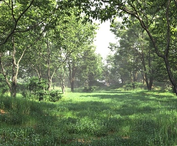 草地为后期详见附图-现代树3D模型