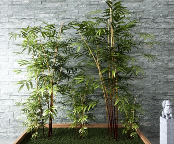 Modern Bamboo-ID:115366942