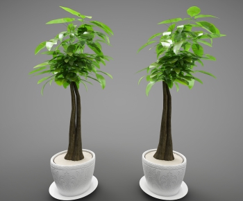 Modern Potted Green Plant-ID:928983936