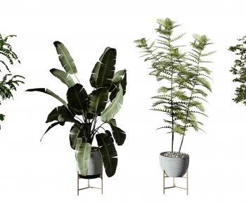 Modern Potted Green Plant-ID:606753114