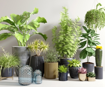 Modern Potted Green Plant-ID:416193011