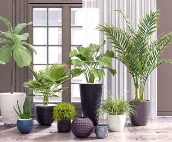 Modern Potted Green Plant-ID:519248016