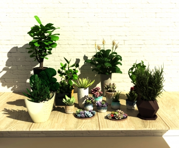 Modern Potted Green Plant-ID:288225892