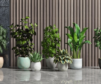 Modern Potted Green Plant-ID:856442931