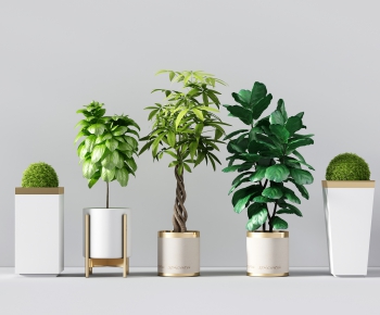 Modern Potted Green Plant-ID:929018021