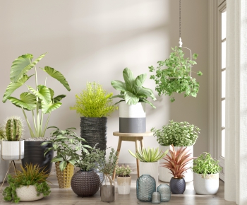 Modern Potted Green Plant-ID:776801114