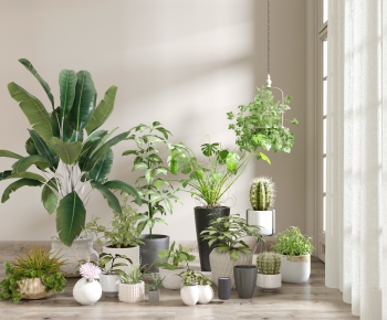 Modern Potted Green Plant-ID:738220277