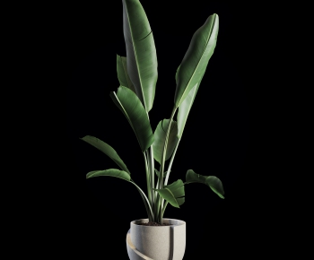 Modern Potted Green Plant-ID:924124961