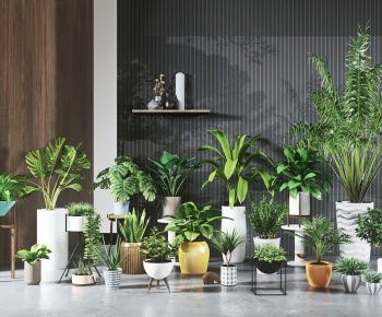 Modern Potted Green Plant-ID:793065072