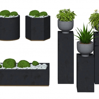 Modern Potted Green Plant-ID:256113058