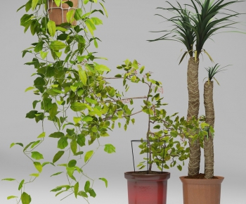 Modern Potted Green Plant-ID:618870976
