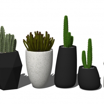 Modern Potted Green Plant-ID:918790109