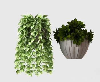 Modern Potted Green Plant-ID:303553107