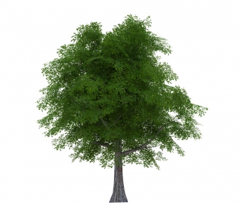 Modern Tree-ID:460701943