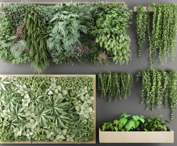Modern Plant Wall-ID:814630038