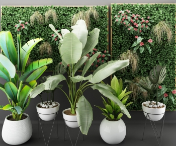 Modern Potted Green Plant-ID:978558068