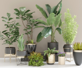 Modern Potted Green Plant-ID:906903984