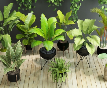 Modern Potted Green Plant-ID:254390001