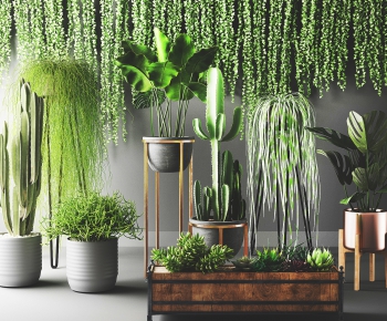 Modern Potted Green Plant-ID:786781079