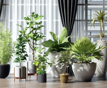Modern Potted Green Plant-ID:366286045