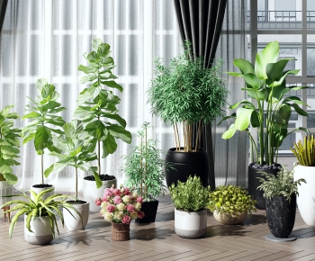 Modern Potted Green Plant-ID:929094083