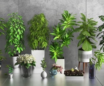 Modern Potted Green Plant-ID:616699938