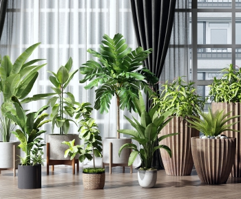 Modern Potted Green Plant-ID:676739936