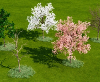 Modern Tree-ID:936783086