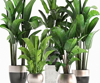 Modern Potted Green Plant-ID:245263101