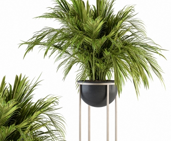 Modern Potted Green Plant-ID:504041915