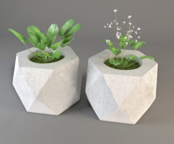 Modern Potted Green Plant-ID:814783104