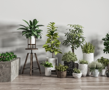 Modern Potted Green Plant-ID:883239032