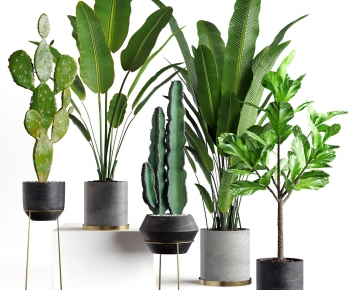 Modern Potted Green Plant-ID:750292065