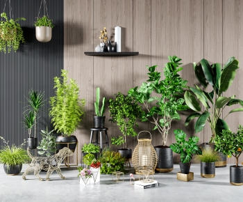 Modern Potted Green Plant-ID:817378041