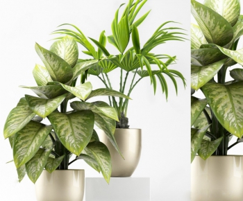 Modern Potted Green Plant-ID:890170109