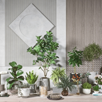 Modern Potted Green Plant-ID:810022124