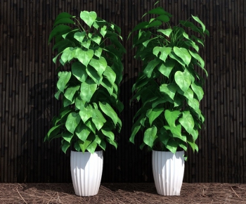 Modern Potted Green Plant-ID:373111014