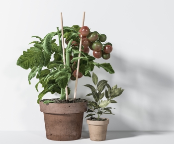 Modern Potted Green Plant-ID:995346073