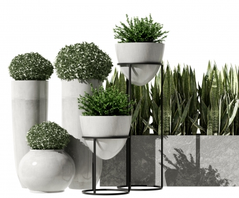 Modern Potted Green Plant-ID:512363911