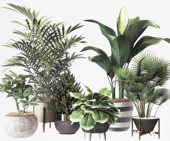 Modern Potted Green Plant-ID:150878916