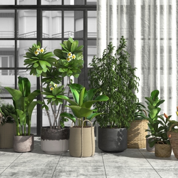 Modern Potted Green Plant-ID:472656012