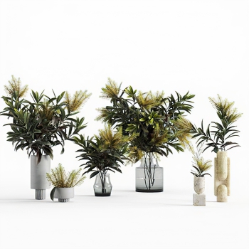 Modern Potted Green Plant-ID:228477004