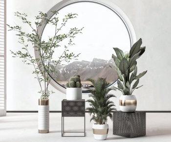 Modern Potted Green Plant-ID:483000996