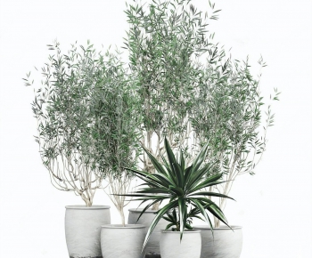 Modern Potted Green Plant-ID:908647062