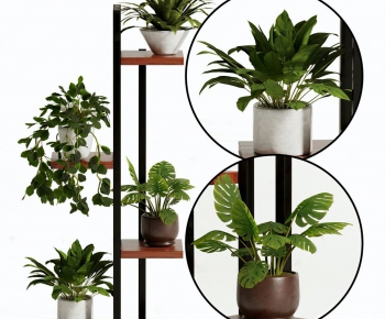 Modern Potted Green Plant-ID:645008099