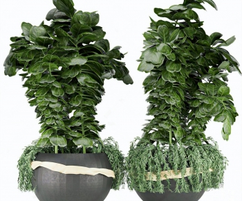 Modern Potted Green Plant-ID:736860997