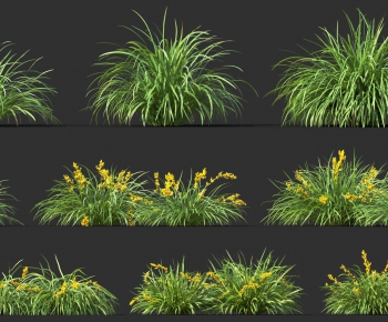 Modern Flowers And Grass-ID:646193981