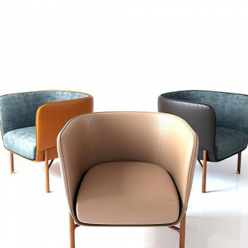 Modern Lounge Chair-ID:242211107