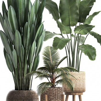 Modern Potted Green Plant-ID:310247909