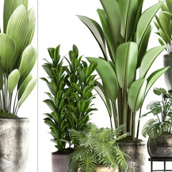 Modern Potted Green Plant-ID:894821882